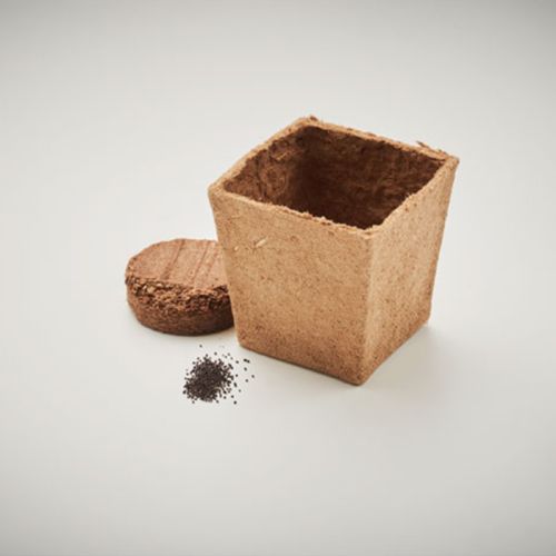 Biodegradable flower pot - Image 8